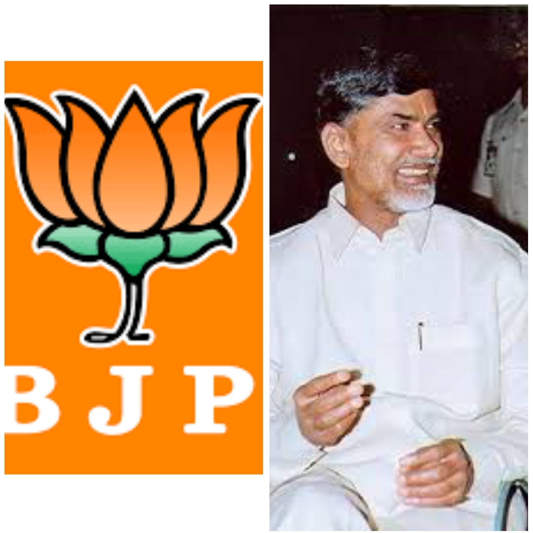 Babutho poththu:BJP ki ledhu thondhara
